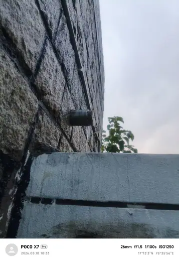 1000522852